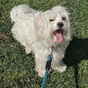 Meet your Posher, Mark